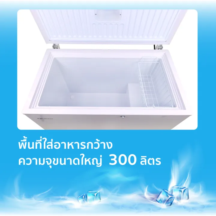 OXYGEN รุ่น BD-300 ตู้แช่ ตู้แช่แข็ง ฝาบน ตู้แช่ฟิต ความจุ 300L (10.3 คิว ) กำลังไฟ 165 วัตต์ รับประกันศูนย์