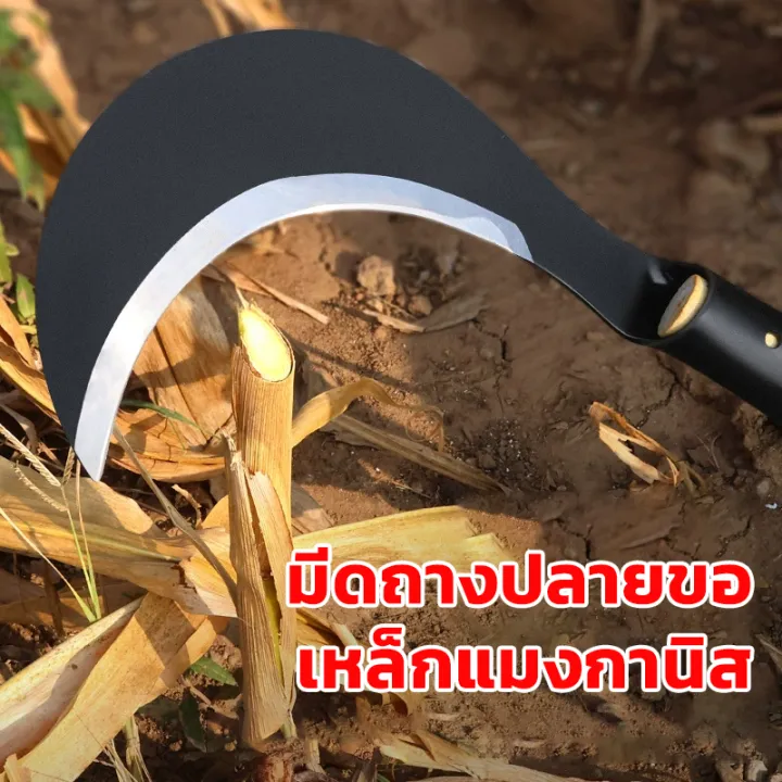 เคียว ใบมีดโค้ง เคียวเหล็กแมงกานีส มีดหวดหญ้า พร้อมด้ามจับ มีดขอ รุ่นงานหนัก พร้า เคียวข้าว ส่งจากไทย