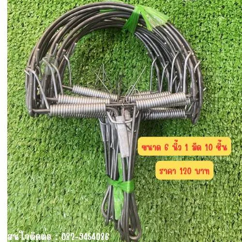 กับดักหนูขนาด 6 นิ้ว 10 ชิ้น 120 บาท
