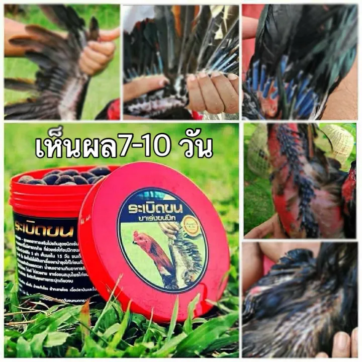 เร่งขนไก่ชน บำรุงขนไก่ถ่าย ระเบิกขนแท้ ขนาด 200 กรัม พร้อมส่งมีปลายทาง อาหารไก่