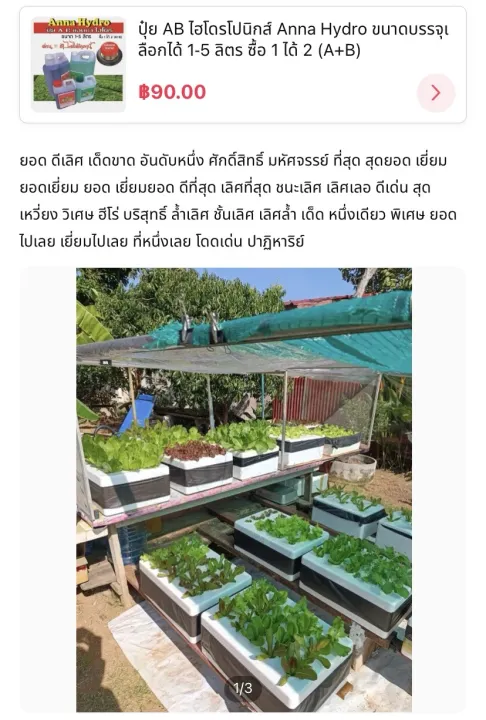 ปุ๋ย A B แอนนา ไฮโดรฯ บรรจุขวด A 1 ลิตร B 1 ลิตร