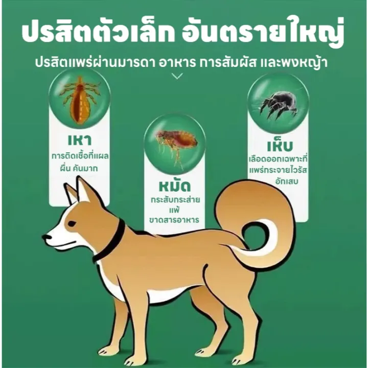 Monqiqi สเปรย์กำจัดหมัด 510ML /ขวด สเปรย์กำจัดเห็บหมัด เหมาะสำหรับสุนัขและแมว กำจัด เหา ไร เห็บ หมัด สารสกัดจากพืช ปลอดภัย ไร้สารพิษ