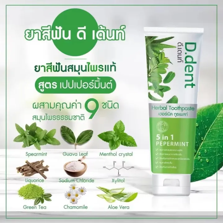 ดีเด้น ยาสีฟันสมุนไพร D-dent ล็อตใหม่ล่าสุด