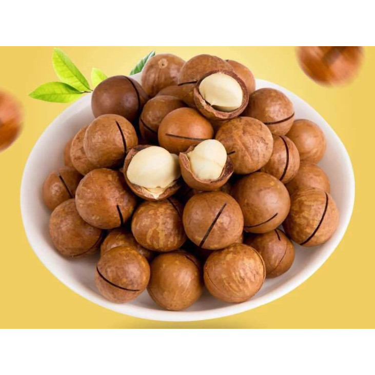 [โปร 1 แถม 1] แมคคาเดเมียอบ 500 กรัม | Roasted Macadamia Nuts | เม็ดใหญ่ มัน หอม กรอบ | ถั่วพรีเมียม สามมี