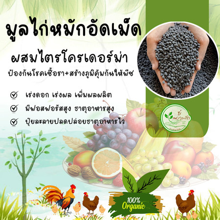 ขี้ไก่อัดเม็ดอย่างดี เกรดA ละลายไว ไร้กลิ่น ผสมไตรโครเดอร์ม่าลดการสะสมโรคพืช ขี้ไก่ปั้นเม็ด มูลไก่อัดเม็ด เร่งดอกเร่งผล